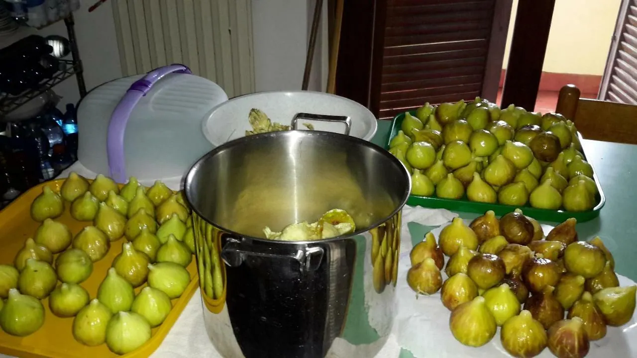 Bed & Breakfast B&B Il Glicine di Basiglio Italia