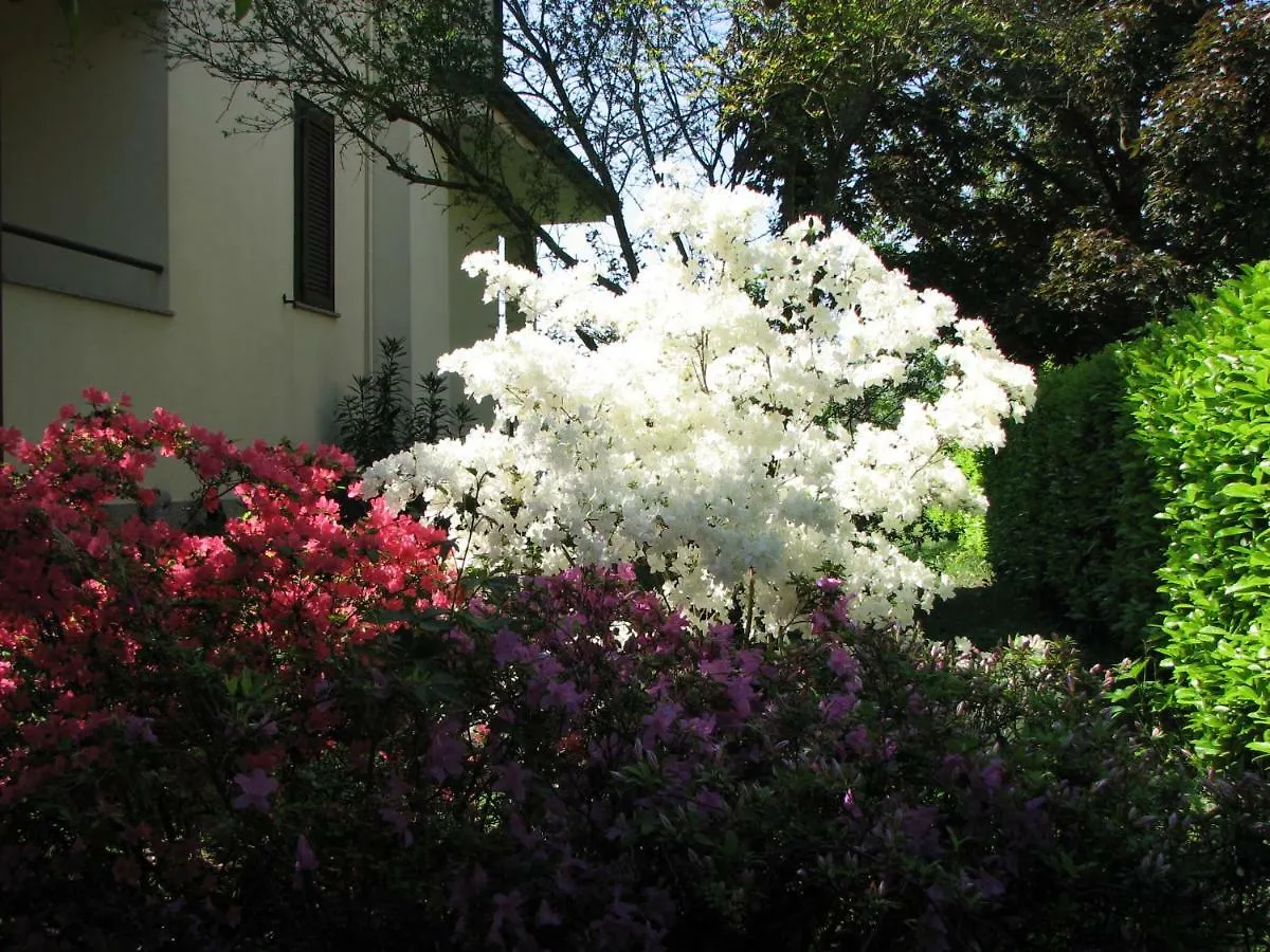 Bed & Breakfast B&B Il Glicine di Basiglio Italia